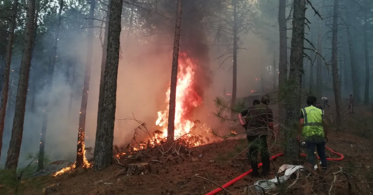 Muğla Büyükşehir orman yangınlarında tüm gücüyle sahada