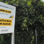 Antalya’da ‘Narenciye Balı’ koruma altında