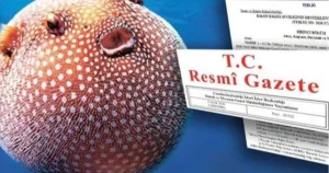balon-baligi-avciligi-destegi-artirildi-daWOzxtO.webp