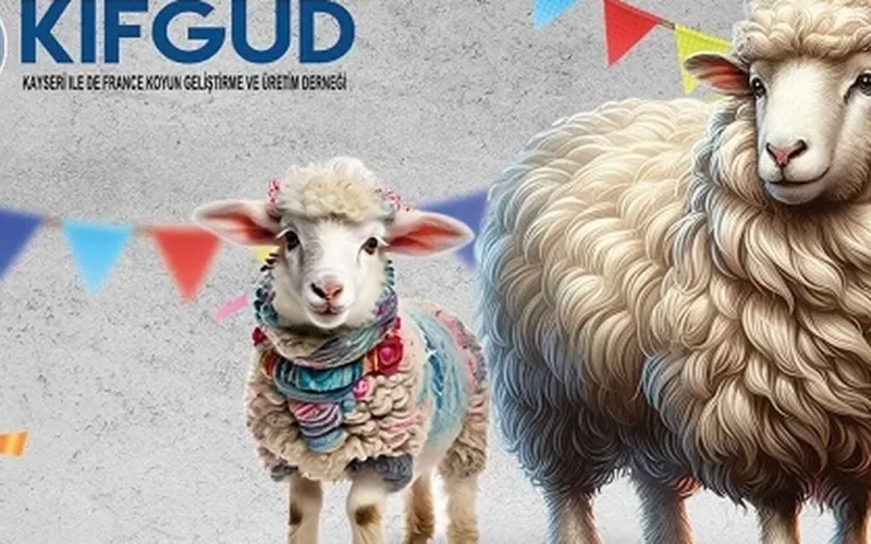 Kayseri Talas’ta France ırkına özel festival