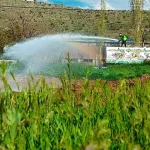 Kayseri Talas’ta haşerelere karşı erken önlem