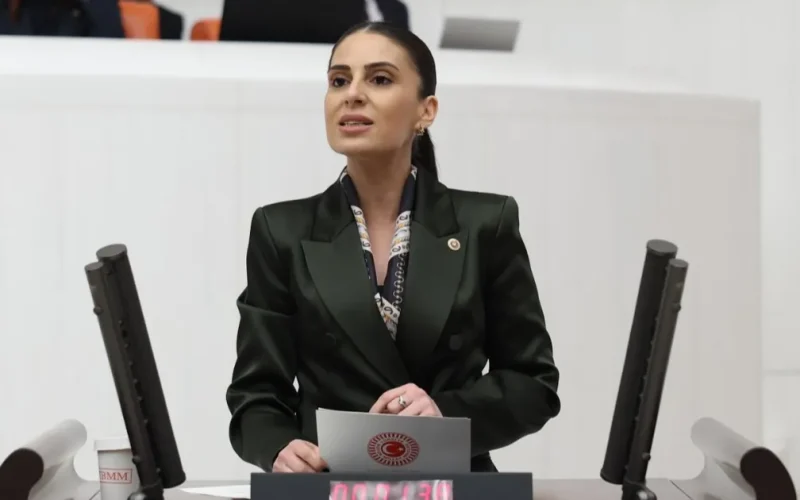 Milletvekili Özcan’dan sokak hayvanları için Bakan Yumaklı’ya önerge