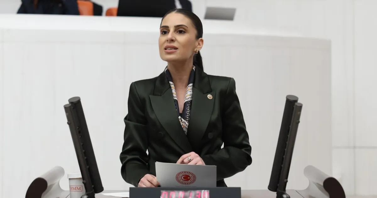 milletvekili-ozcandan-sokak-hayvanlari-icin-bakan-yumakliya-onerge-ZaO5hYug.webp