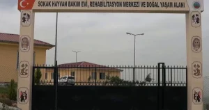 siirtte-sokak-hayvanlari-icin-dev-proje-tjaQwpFK.webp