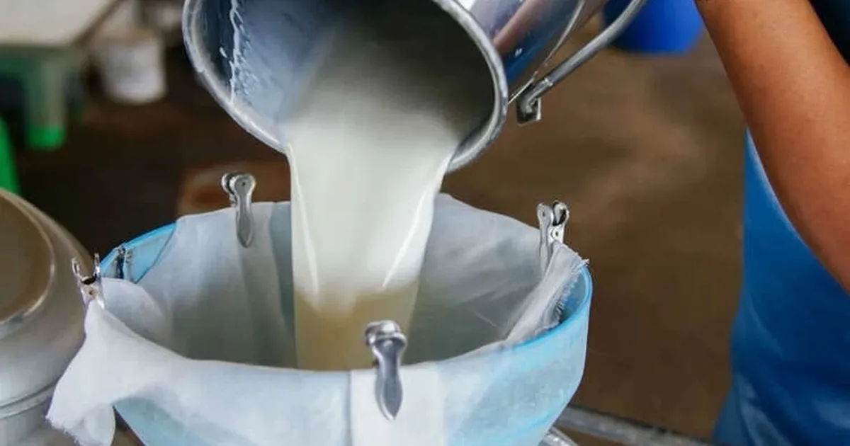 turkiyede-sut-uretimi-yukseliyor-martta-1-milyon-15-bin-ton-sut-toplandi-6qGSEhaS.webp