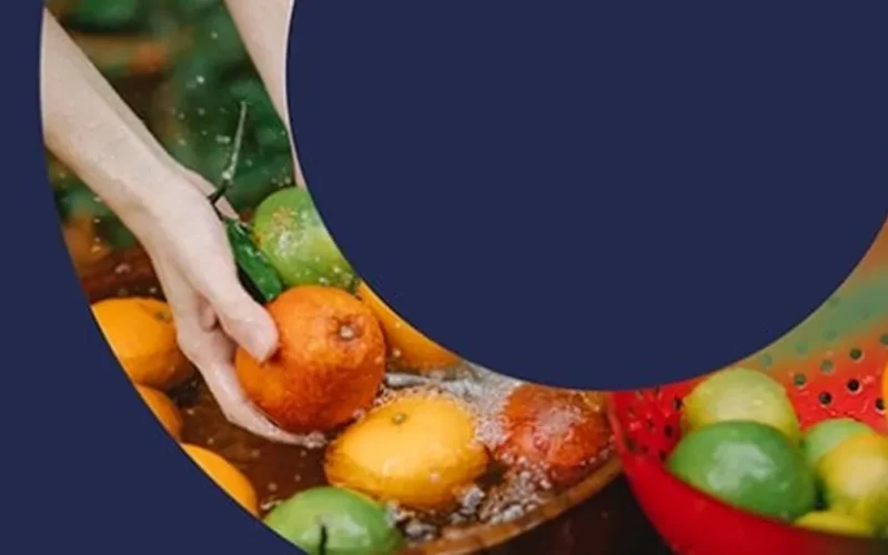 Türkiye’den ‘PlantHealth4Life’ kampanyasına destek
